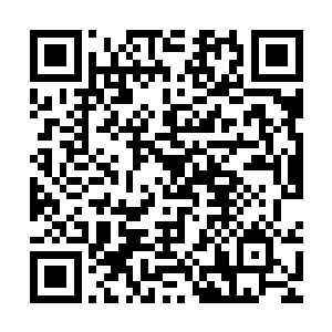 林铭从龙一身上掠夺的龙鳞宝衣都无法挡住这种非实质姓的攻击二维码生成