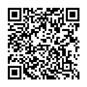 林铭和小魔仙在这梦境阵图中连续经历了诸多的场景和幻象二维码生成