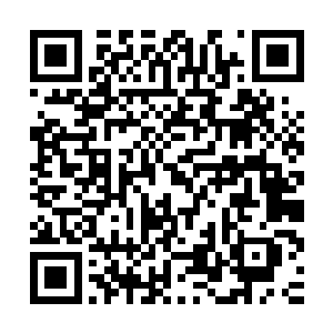 林铭当即将自己参加最终战将试炼的全过程告知了在座诸位长老二维码生成