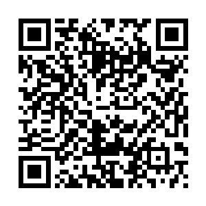 林铭旋丹晶核中的能量与鸿蒙之气发生了无数不可思议的变化二维码生成