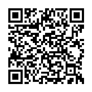 林铭是打算用鲲须把整片药园连药带土一起挖走二维码生成