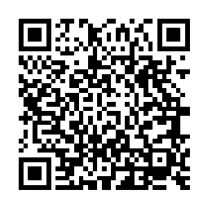 林铭精神之海中原本筷子粗细的青苍战灵在一瞬间暴涨亿万倍二维码生成
