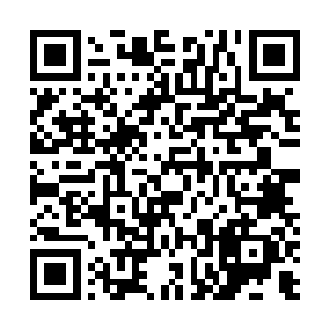 林铭自然是早已经定下了要杀火蚩掌教的计划才会来南疆二维码生成