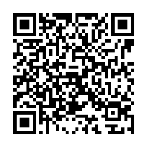 林锐似乎早就料到对方会用自己换弹匣的机会进行反击二维码生成