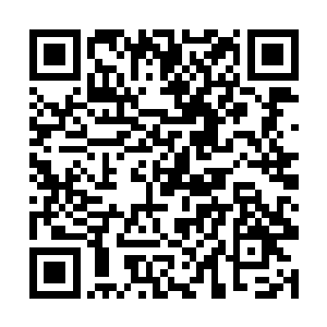 林锐原本准备给予敌军迎头痛击的计划也随之落空了二维码生成