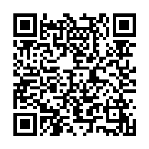 林锦楼没料到香兰会从他手里抢那支离破碎的扇骨二维码生成