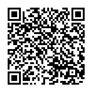 林锦鹏大概做梦也没有想到德雷顿会安排自己在这样的地方和多瓦猜先生见面二维码生成