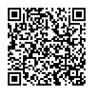 林雨馨掌控的医药集团将在南疆投入十亿美金兴建大型的药材种植基地二维码生成