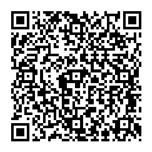 果不其然 圣皇子刚刚说完 只听一声轰鸣 整个十层台阶坍塌 伴随着一股恐怖的气息传出二维码生成