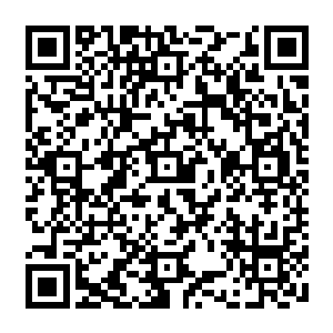 果然……觊觎马拉化身的人不止我们几个啊……故意放走了一小部分就引了出来……二维码生成