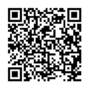 果然厉害――――你就是数月前杀死孔雀妖圣那个蠢货的小凤凰二维码生成