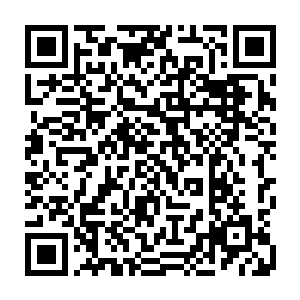 果然发现他们两人的容貌虽然和上次从自己身上抢走八荒残图的人十分相似二维码生成
