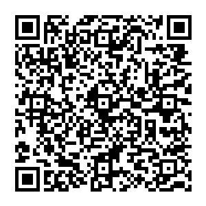 果然如此 时间能够保持一个平衡 但是无法抵消其带來的疼痛 虽然缩短了时间 但也有弊端 二维码生成