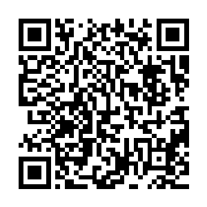 果然看到箱子中并排放置的几枚淡青色的散发着浓郁药香的丹药二维码生成