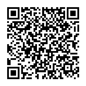 果熟蒂落的几棵植株又突兀出几颗新的花骨朵迅速绽放成新的小野花二维码生成