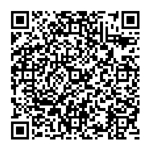 枪响　随后又是砰砰砰的声响　所有子弹　打在别墅的那几扇窗户上　都只留下一些微小的印子　然后弹开二维码生成