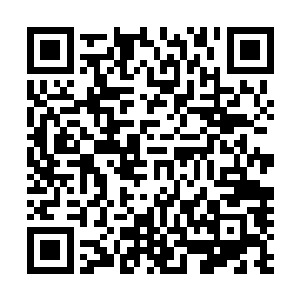 柏林赫塔的主教练汉斯・迈尔拿到了球探从前方传来的报告二维码生成