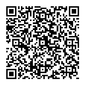 某个人的画像已经在她的枕头底下压了多少年现在唯一支撑着惠妃活下去并且一路往上爬的时候二维码生成