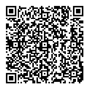 柔弱善良的昭嫔娘娘在桃花林里葬花为亡故的孩子超度被皇上遇见后一时激动晕倒让皇上亲自抱她回宫的事情在下一秒便疯传六宫二维码生成