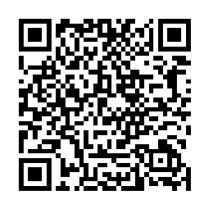 柔软的小手通过指尖传达给天道一种很是无法抵御的诱惑二维码生成