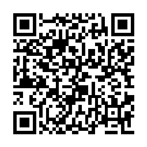 柯滕凯为什么要假装是你故意带走我不管叶海凝二维码生成