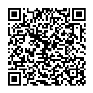 柯炳义的丹田也确实是被他废掉了……人已经在送回南湖省的路上了二维码生成