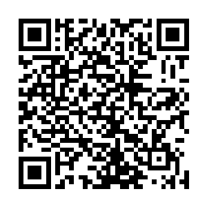 柳会长已经成功的拿到了这一届淘汰大赛的第一个满分成绩二维码生成