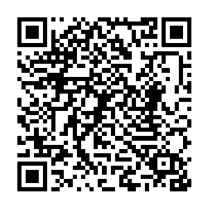 柳家和黎王府暗中几次交手之类的事情都被定王府的人们给无视掉了二维码生成