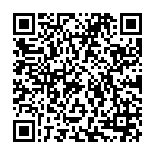 柳树的与众不同之处在于它首度配备了全新的光学瞄准及自动制导弹头二维码生成