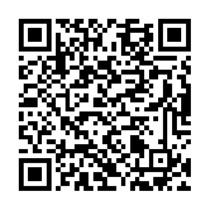 柳清寒转头狠狠地瞪了一眼此时已经完全吓坏了的夏桀二维码生成