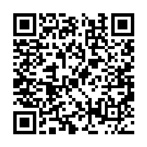 柳逸尘开始动用以前在第一学院图书馆所用的方法二维码生成