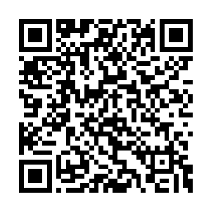 柳逸尘给墨彩羽办理了一个在法租界管用的身份二维码生成