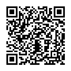 柳非笑几人也明白火之晶王对他们的重要性和它的稀少珍贵程度二维码生成