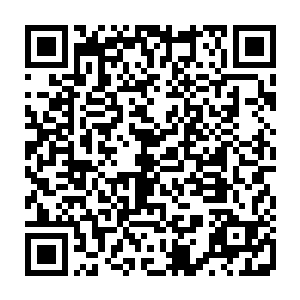 标题的一个硕大的横幅再加上洪大力的照片占了整张报纸的二分之一版面二维码生成