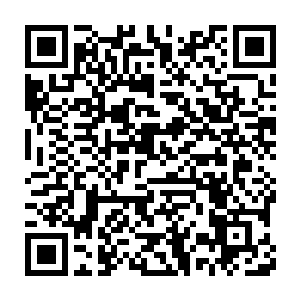 校花排行榜第四位的叶清雪和校花排行榜第六位的唐嫣居然杠上了二维码生成