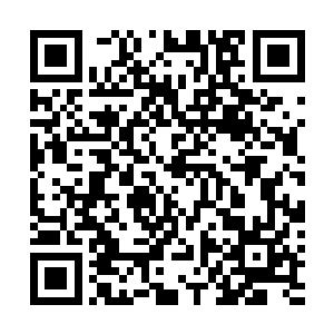 根据丹方和炼丹理论提前推导出最优炼丹方案就越发重要二维码生成