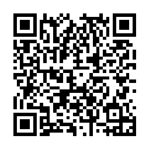 根据五行特点创造出的独属于五行灵体的最强功法二维码生成