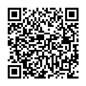 根据当前种种迹象表明……叶笑很可能已经臻至成丹之境二维码生成