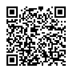 根据自己的工作经验给了大学生们很多建议和提醒二维码生成