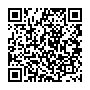 根据这段公告的内容……身在战斗力排行榜前列的我二维码生成
