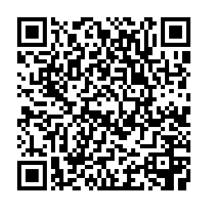 根本不打算给这一只变异野狗任何反击的机会……三道飞剑已经急速的袭来二维码生成