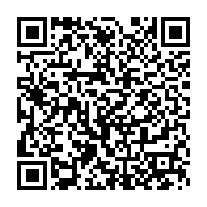 根本不是一个数量级上面的……除非秦方再一次动用弑神虫这种大杀器二维码生成