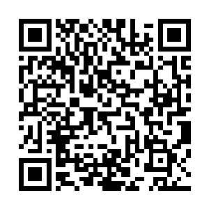 根本不管那些被碧瑶专门拨过来管理他的侍女们的嘲讽鄙夷二维码生成