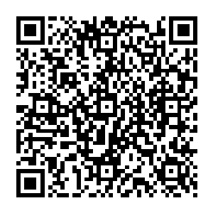 根本不解释伶仙子身上为何会出现苍窍元神特质……旅火一个天仙的指控确实有点麻烦二维码生成