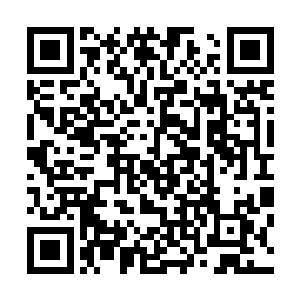 根本就没有任何人想到这一次的优秀新生代表竟然会是林烽二维码生成