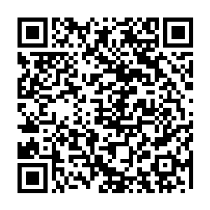 根本很难发现这个洞窟的存在……可秦方却是很清楚的找寻到了洞窟的存在了二维码生成