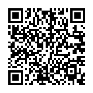 根本改变不了的……砰~~唐菲菲的手势虽然捏的很不标准二维码生成