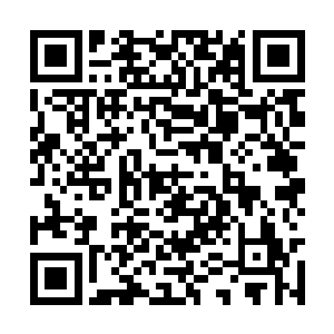 根本无暇顾及其他……我从小到来从来没过过生日二维码生成