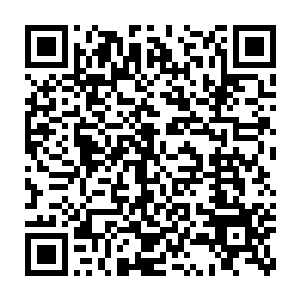 根本无法对这次攻击做出有效的抵抗……因为当小灵被卷入血雾时二维码生成