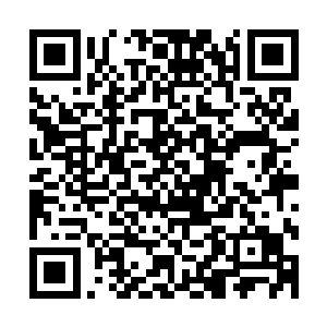 根本无法想象这样的场景会在暑期档之外任何一个时间点出现二维码生成